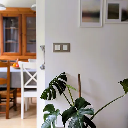 Surf And Art Parking Gratuito Vut2216as Apartment Oviedo