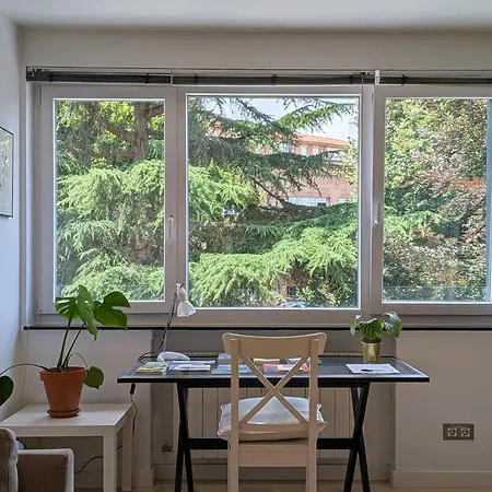 Surf And Art Parking Gratuito Vut2216as * Oviedo